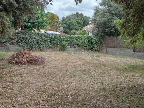 Whatsapp image 2025 08 26 at 08.38.32 (1)